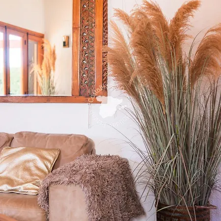 Solmar * كاليبي